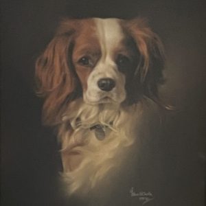 Blenheim Cavalier with a Blue Bow, 1984