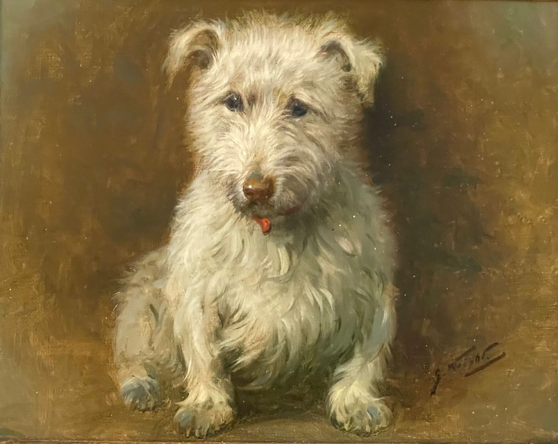 Seated Terrier with a Red Collar