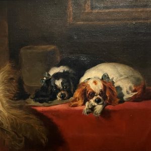 The Cavalier's Pets