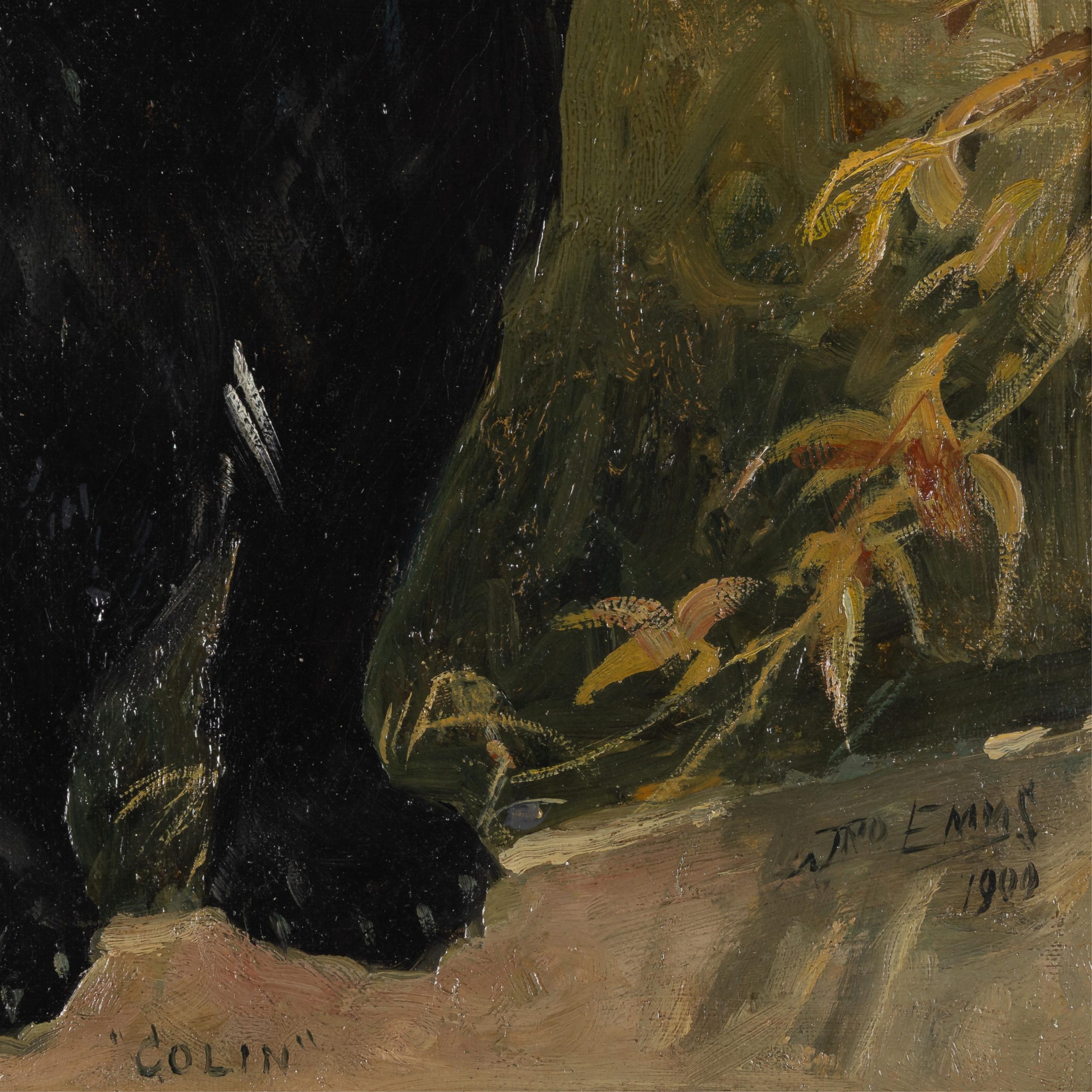 Colin, 1900 - Image 2
