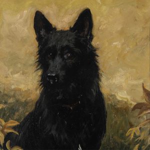 Colin, 1900