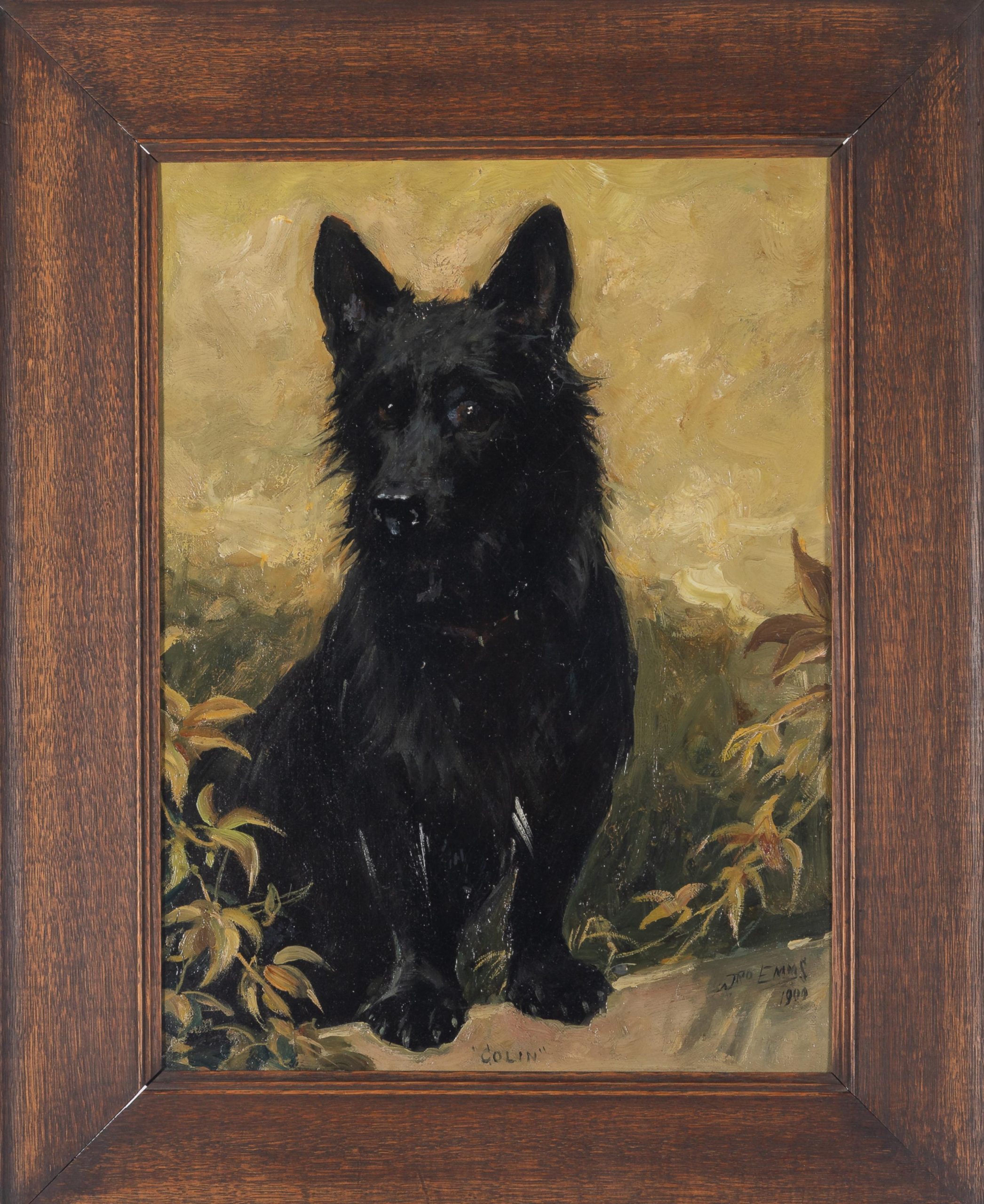 Colin, 1900 - Image 4