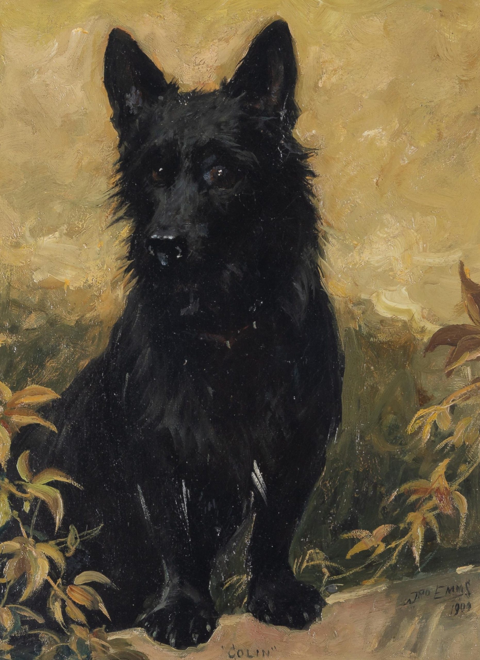 Colin, 1900 - Image 3