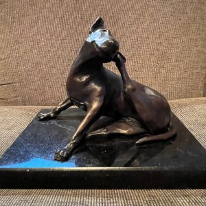 Bull Terrier, 2007