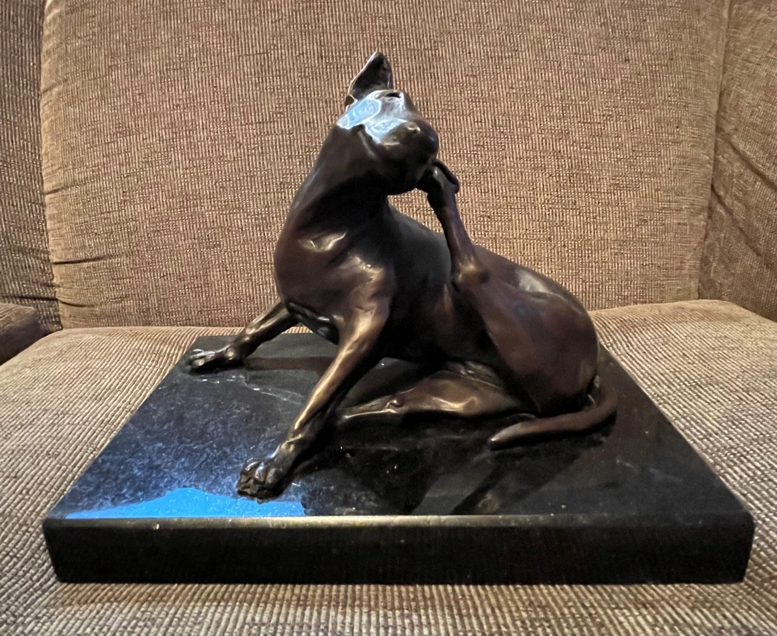 Bull Terrier, 2007