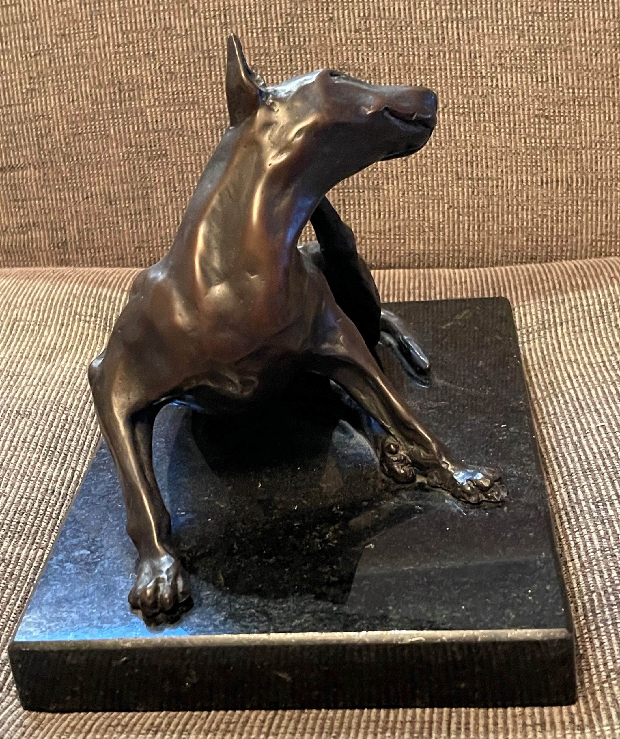 Bull Terrier, 2007 - Image 3