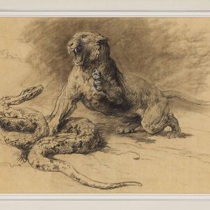 Lion and Snake