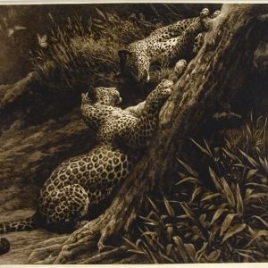Play, 1907