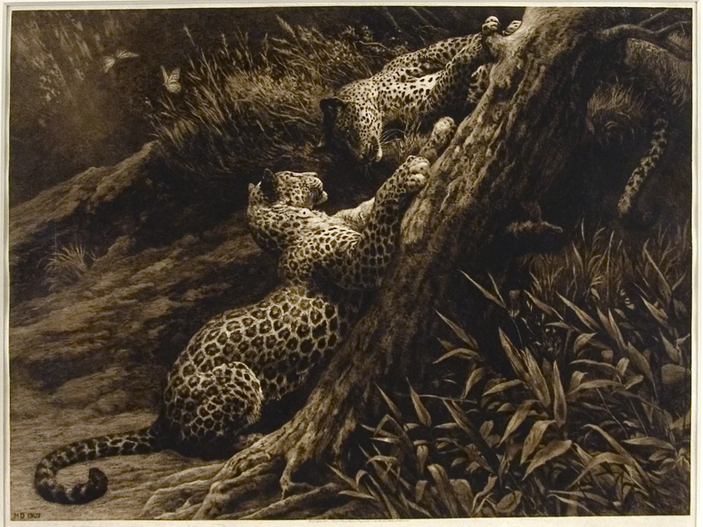 Play, 1907