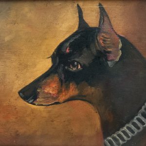 Manchester Terrier with a Silver Collar