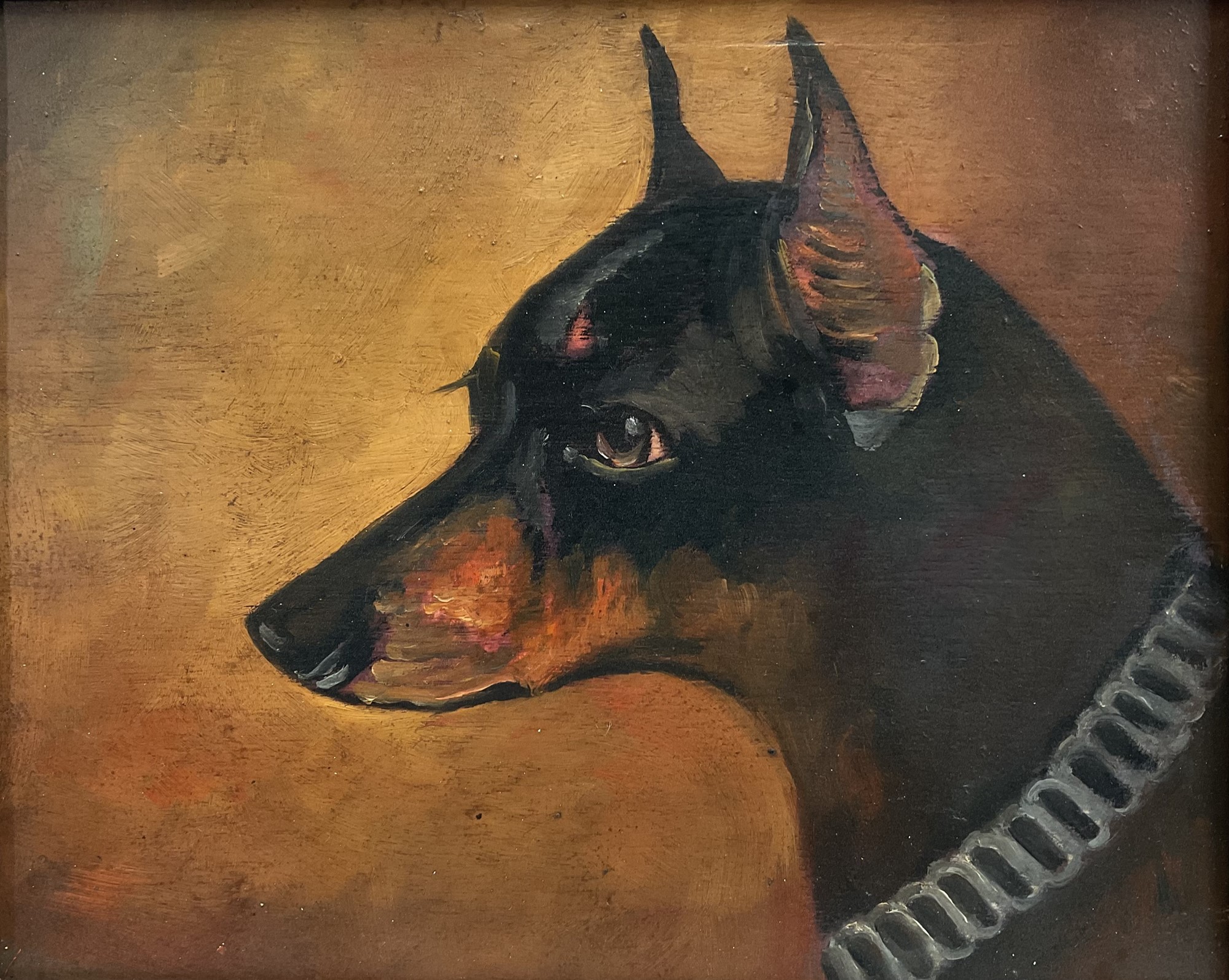 Manchester Terrier with a Silver Collar